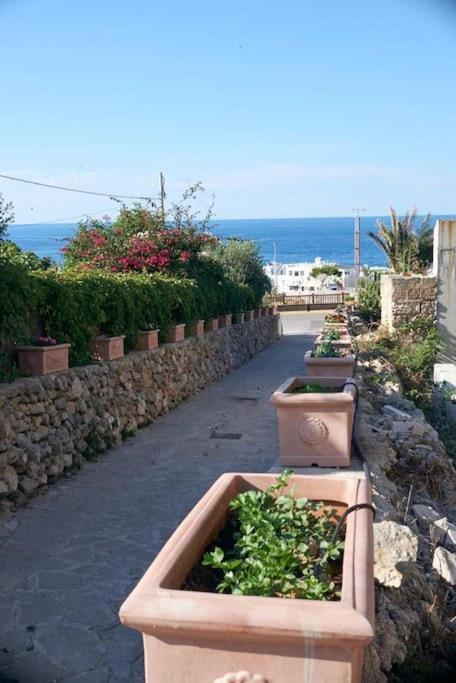 San Vito Apartament Polignano a Mare Esterno foto